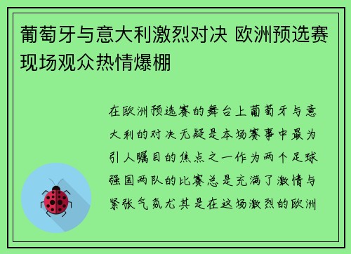 葡萄牙与意大利激烈对决 欧洲预选赛现场观众热情爆棚