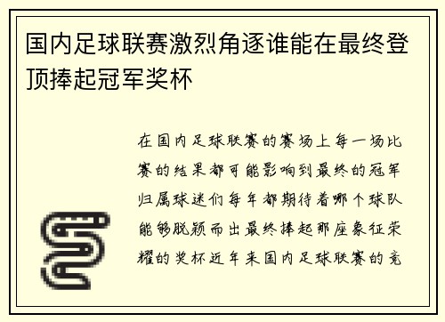 国内足球联赛激烈角逐谁能在最终登顶捧起冠军奖杯